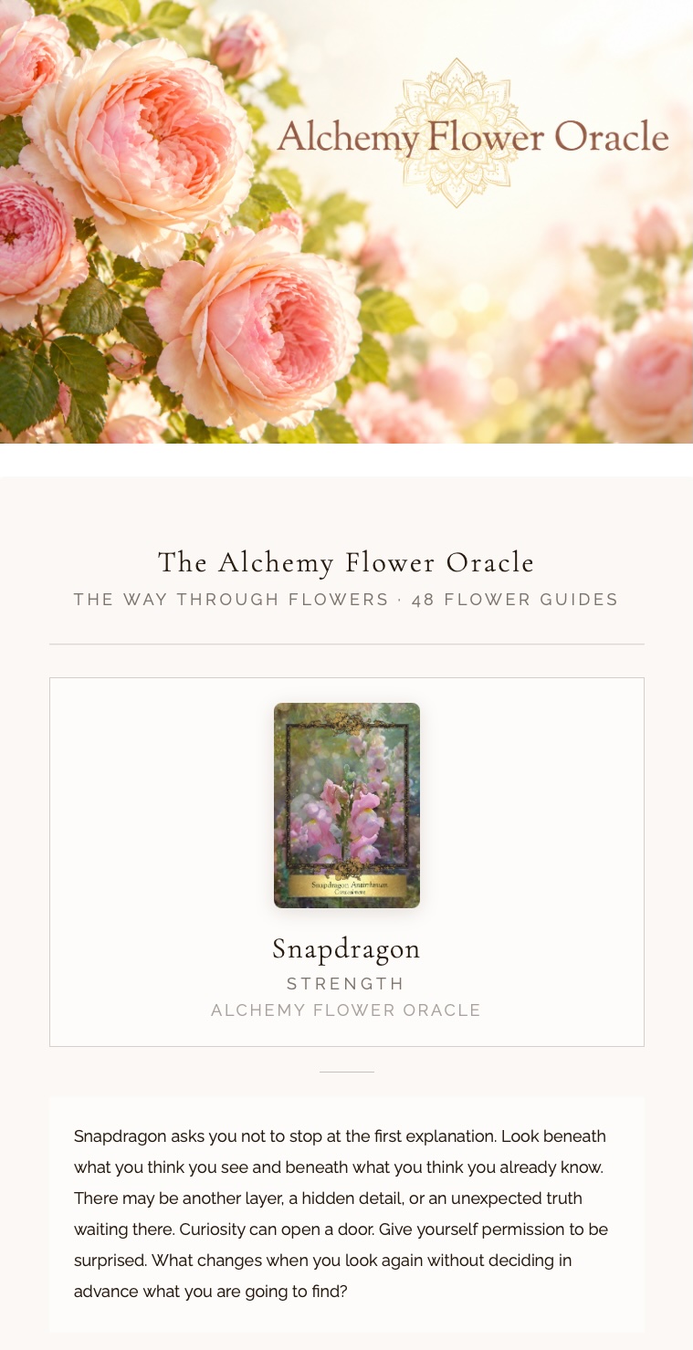 Alchemy Flower Oracle