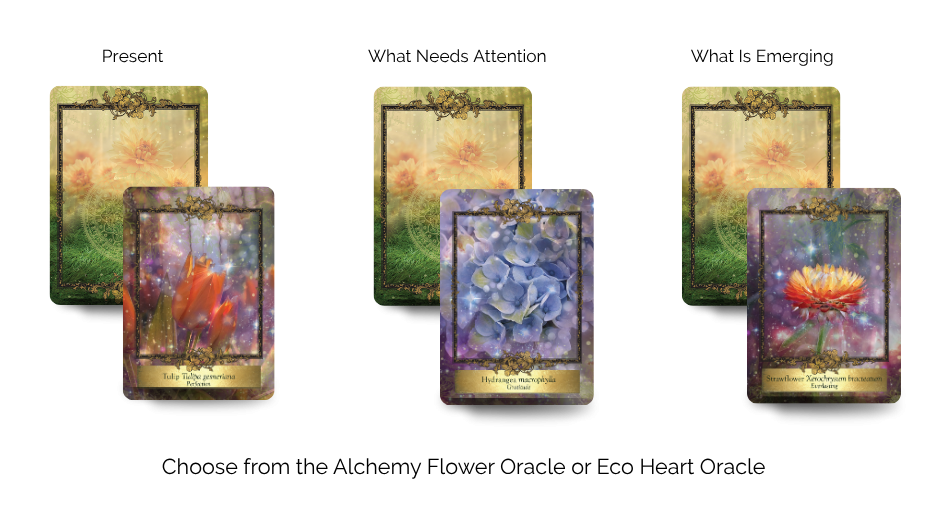Alchemy Flower and Eco Heart Oracle