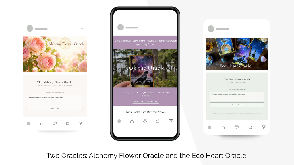 Ask the Oracle: Alchemy Flower Oracle and Eco Heart Oracle